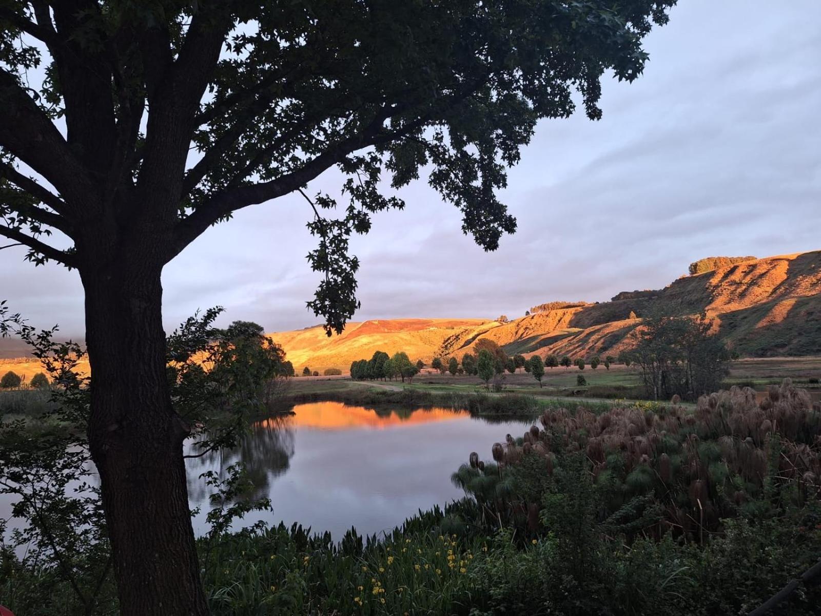 ווינטרטון Berghaven Cottages מראה חיצוני תמונה