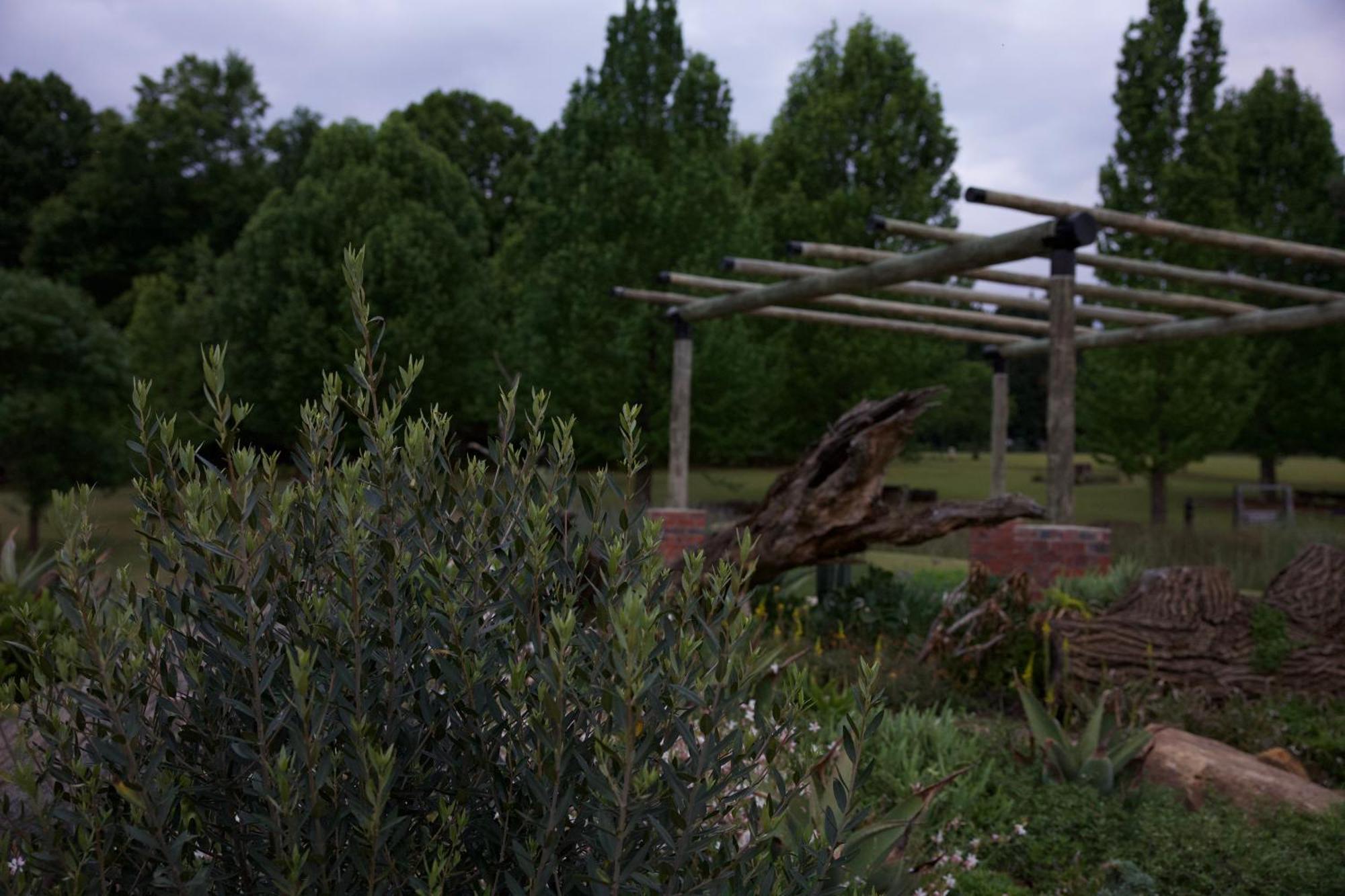 ווינטרטון Berghaven Cottages מראה חיצוני תמונה